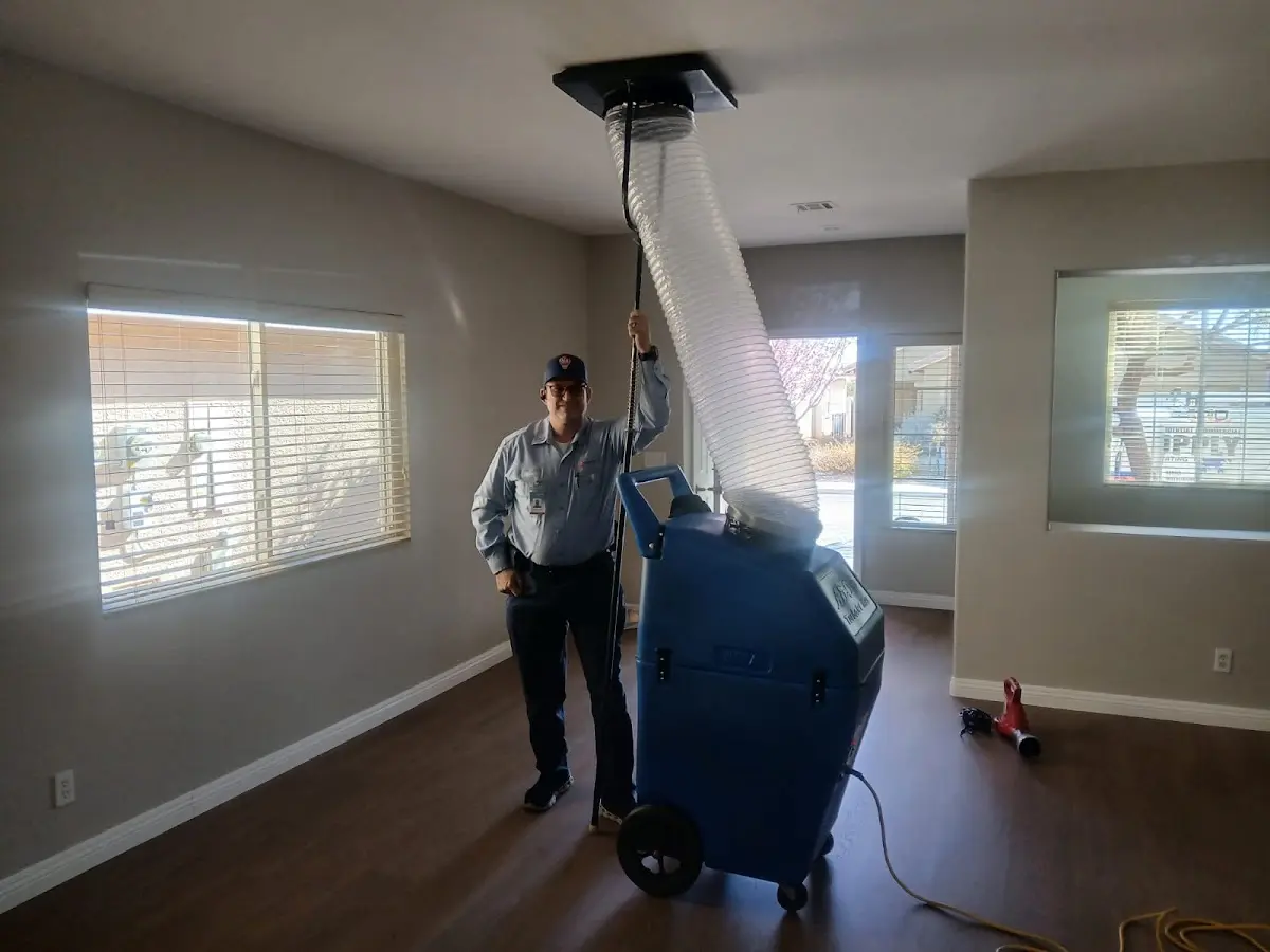 Professional Dryer Vent Cleaning work inside a Collinsville home